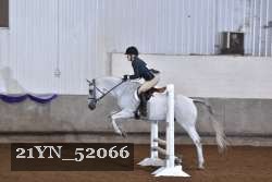 21YN_52066 thumbnail