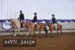 21YN_52156 thumbnail