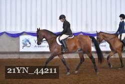 21YN_44211 thumbnail