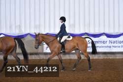 21YN_44212 thumbnail