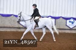 21YN_48567 thumbnail