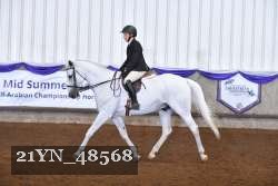21YN_48568 thumbnail