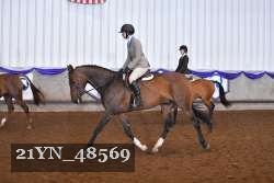 21YN_48569 thumbnail