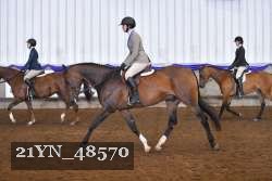 21YN_48570 thumbnail