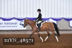 21YN_48571 thumbnail