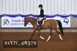 21YN_48572 thumbnail
