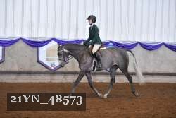 21YN_48573 thumbnail