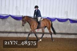 21YN_48575 thumbnail