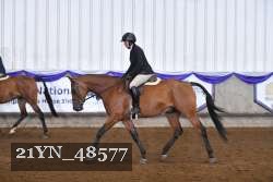 21YN_48577 thumbnail