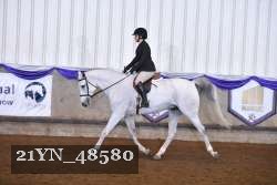 21YN_48580 thumbnail