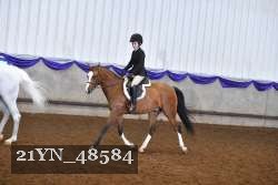 21YN_48584 thumbnail