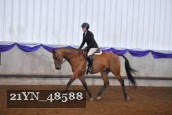 21YN_48588 thumbnail