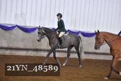 21YN_48589 thumbnail