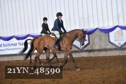 21YN_48590 thumbnail