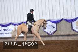 21YN_48592 thumbnail