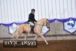 21YN_48593 thumbnail
