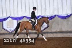 21YN_48594 thumbnail