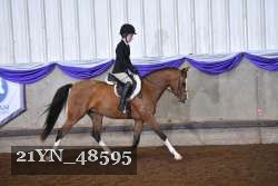 21YN_48595 thumbnail