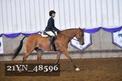 21YN_48596 thumbnail
