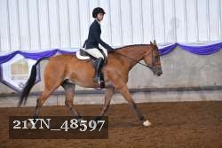 21YN_48597 thumbnail