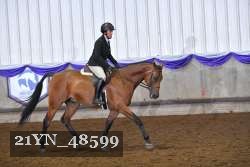 21YN_48599 thumbnail