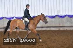 21YN_48600 thumbnail