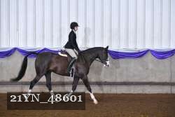 21YN_48601 thumbnail