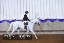 21YN_48602 thumbnail
