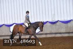 21YN_48603 thumbnail