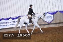 21YN_48607 thumbnail