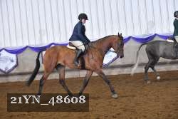 21YN_48608 thumbnail