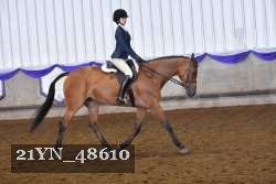 21YN_48610 thumbnail