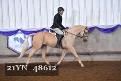 21YN_48612 thumbnail