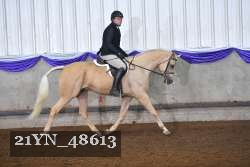 21YN_48613 thumbnail