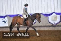 21YN_48614 thumbnail