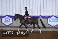 21YN_48656 thumbnail