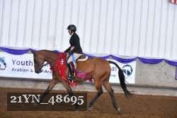21YN_48695 thumbnail