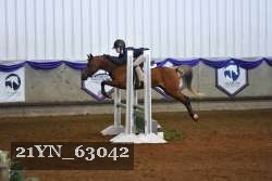 21YN_63042 thumbnail