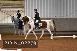 21YN_02279 thumbnail
