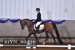 21YN_02436 thumbnail