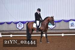 21YN_02444 thumbnail