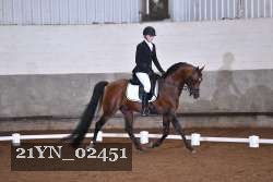 21YN_02451 thumbnail