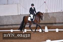 21YN_02452 thumbnail
