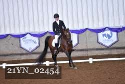 21YN_02454 thumbnail