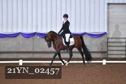 21YN_02457 thumbnail