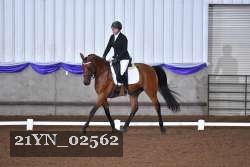 21YN_02562 thumbnail