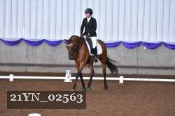 21YN_02563 thumbnail