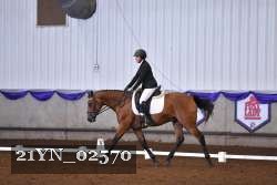 21YN_02570 thumbnail