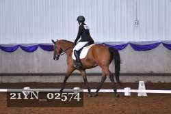 21YN_02574 thumbnail