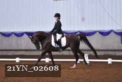 21YN_02608 thumbnail